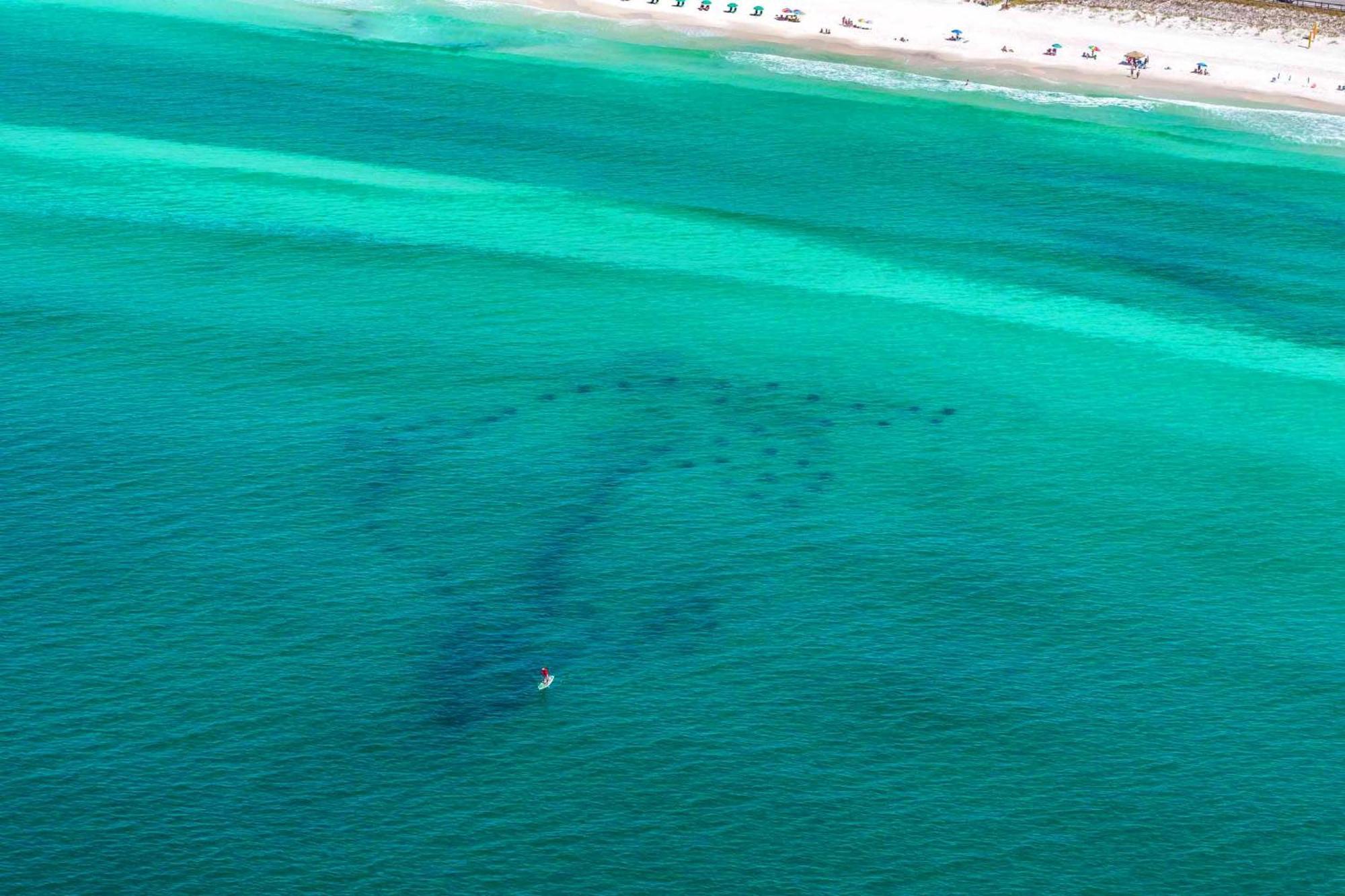 Ariel Dunes I 203 Leilighet Destin Eksteriør bilde